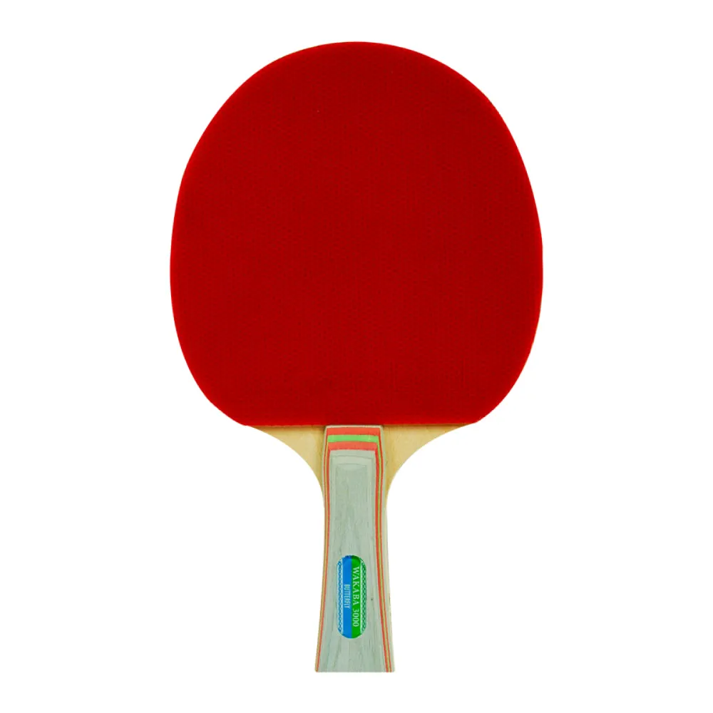 Butterfly Wakaba 3000 Table Tennis Bat And Ball Set