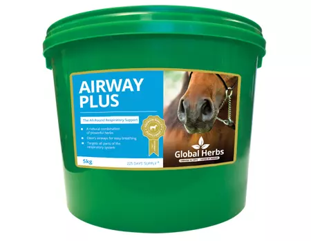 Global Herbs Airway Plus Powder